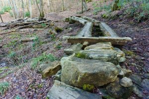 Log Bridges on the High Falls Trail