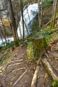 Switchback on the High Falls Trail