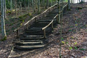 Steps on the High Falls Trail