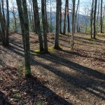 Campsite on Lover's Leap Ridge