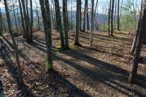 Campsite on Lover's Leap Ridge