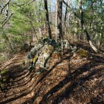 Appalchian Trail on Lover's Leap Ridge