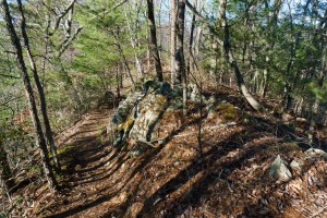 Appalchian Trail on Lover's Leap Ridge