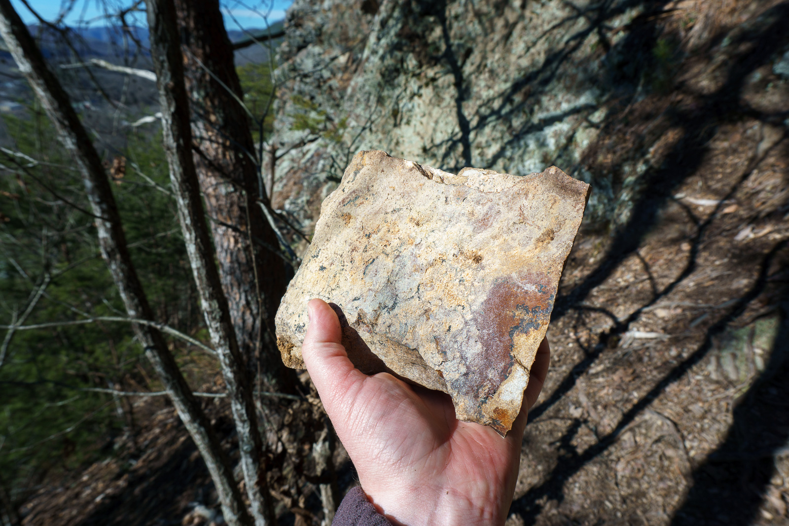 2016-01-30_pisgah-hot-springs_appalachian-trail-rock-that-rolled-onto-trail.jpg Watch for Falling Rocks