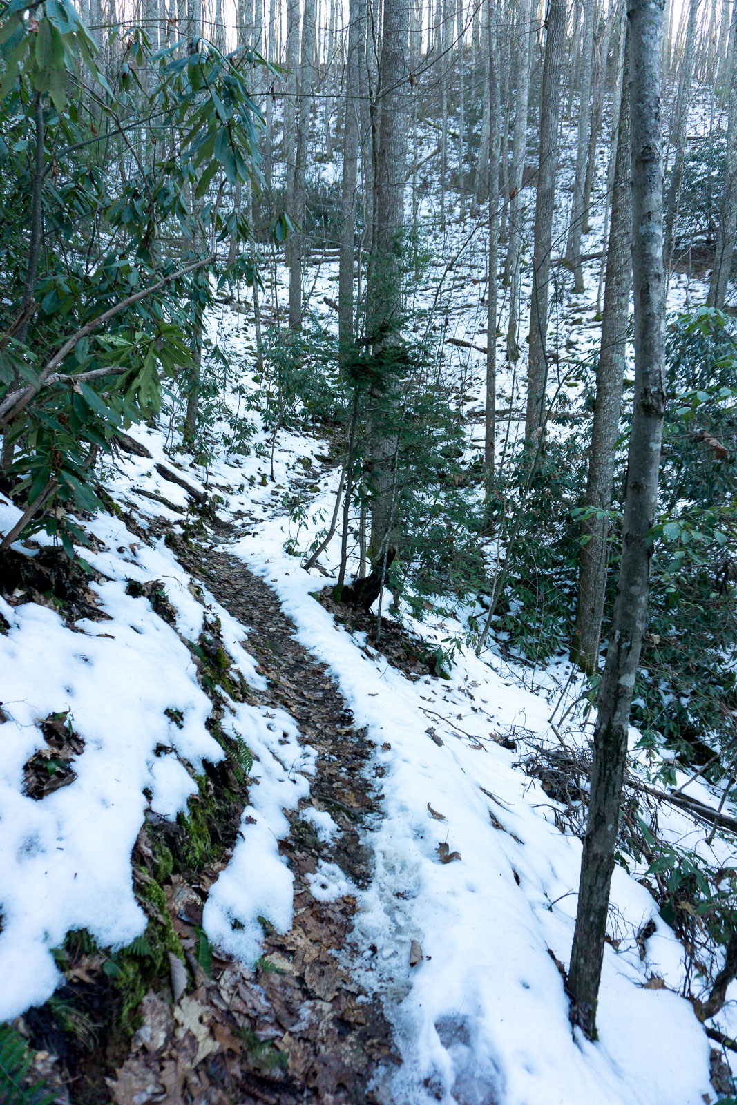2016-01-30_pisgah-hot-springs_appalachian-trail-snow-filled-cove.jpg Snow on the North Slope