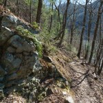 Rock Beside Appalachian Trail