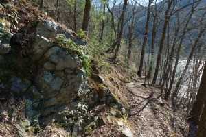 Rock Beside Appalachian Trail
