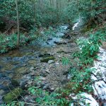 Silver Mine Creek beside Pump Gap Loop Trail