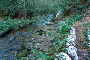 Silver Mine Creek beside Pump Gap Loop Trail