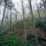 Steep Slope beside Pump Gap Loop Trail