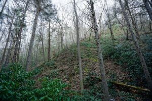 Steep Slope beside Pump Gap Loop Trail