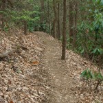 Shope Creek Trail