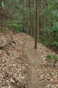 Shope Creek Trail