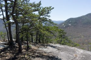 View of Pilot Rock