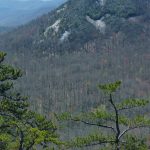 View from Slate Rock Ridge