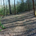 Flat Section of Trail in PIlot Cove