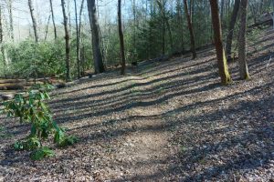 Flat Section of Trail in PIlot Cove