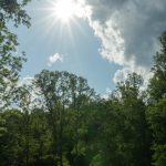 Stone Mountain State Park Meadow