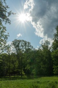 Stone Mountain State Park Meadow