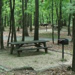 Stone Mountain Picnic Area