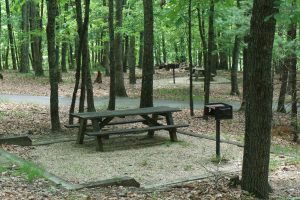 Stone Mountain Picnic Area