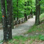 Stone Mountain Loop Trail Switchbacks