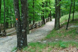 Stone Mountain Loop Trail Switchbacks