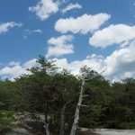 Stone Mountain Summit