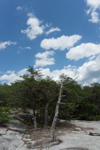 Stone Mountain Summit