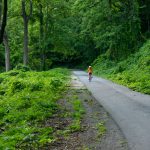 Point Lookout Trail Climb