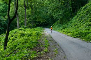 Point Lookout Trail Climb