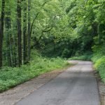 Point Lookout Trail