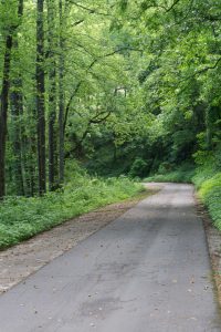 Point Lookout Trail