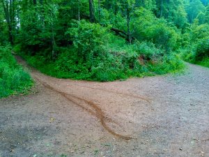 Little Hickory Top and North Boundary Road