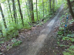 Little Hickory Top Trail