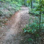 Ingles Field Gap Steep Section