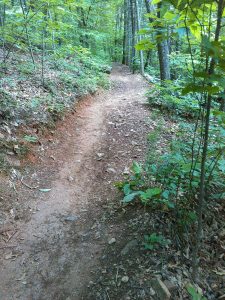 Ingles Field Gap Steep Section