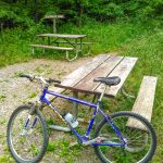 Picnic Tables at Ledford Gap