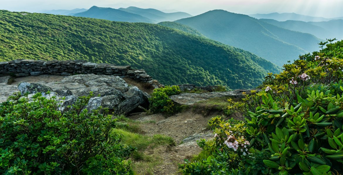 View from Craggy Pinnacle Lower Overlook