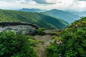 View from Craggy Pinnacle Lower Overlook