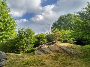 Clearing in the Craggies