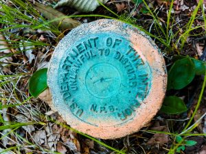 Survey Marker on Snowball Mountain