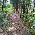 Snowball Trail on Snowball Mountain