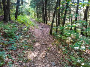 Snowball Trail on Snowball Mountain