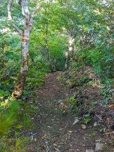 Summit of Snowball Mountain