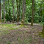 Campsite on the Thompson River