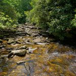 Upper Thompson River