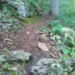 The Mountains to Sea Trail near Craven Gap