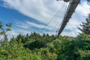 Swinging Bridge from Underneath