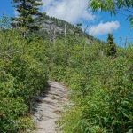 MacRae Peak from Grandfather Extension Trail